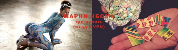 шишки Дмитровск