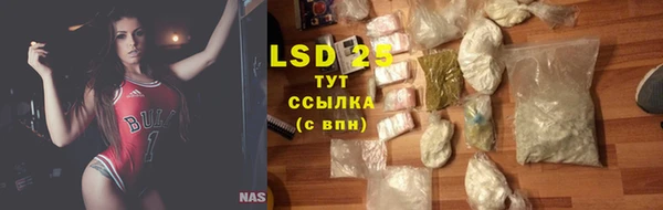 ГАЛЛЮЦИНОГЕННЫЕ ГРИБЫ Гусь-Хрустальный