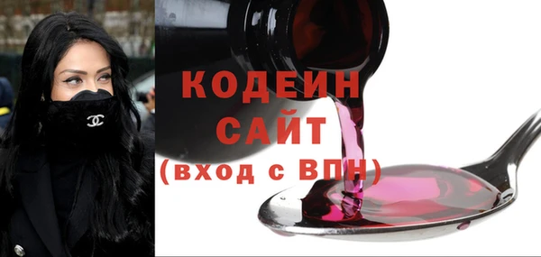 ГАЛЛЮЦИНОГЕННЫЕ ГРИБЫ Гусь-Хрустальный
