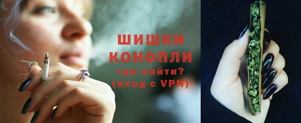 винт Горно-Алтайск