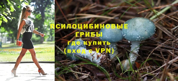 твердый Горняк