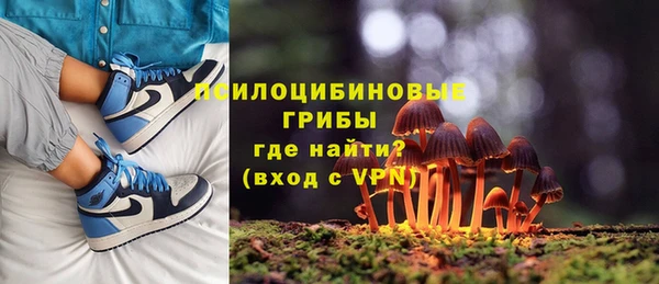 ГАЛЛЮЦИНОГЕННЫЕ ГРИБЫ Гусь-Хрустальный