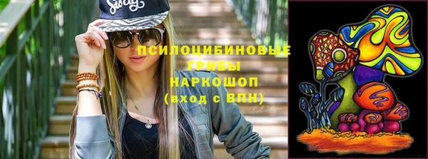 ГАЛЛЮЦИНОГЕННЫЕ ГРИБЫ Гусь-Хрустальный