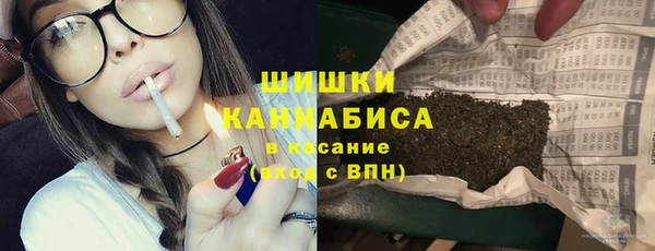 ГАЛЛЮЦИНОГЕННЫЕ ГРИБЫ Гусь-Хрустальный