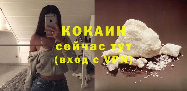 прущие крисы Гусев