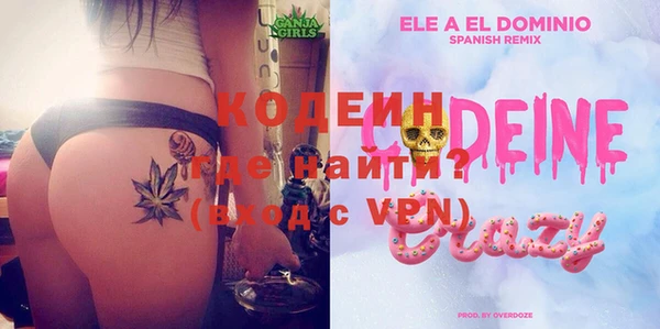 шишки Дмитровск