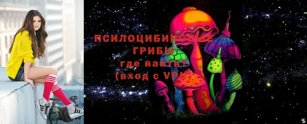 ГАЛЛЮЦИНОГЕННЫЕ ГРИБЫ Гусь-Хрустальный