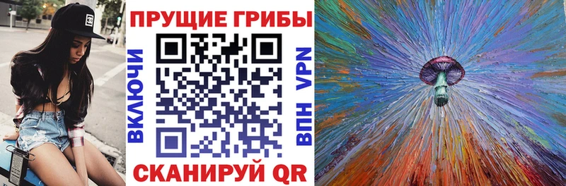 Купить где  Мариинск  Галлюциногенные грибы ЛСД 